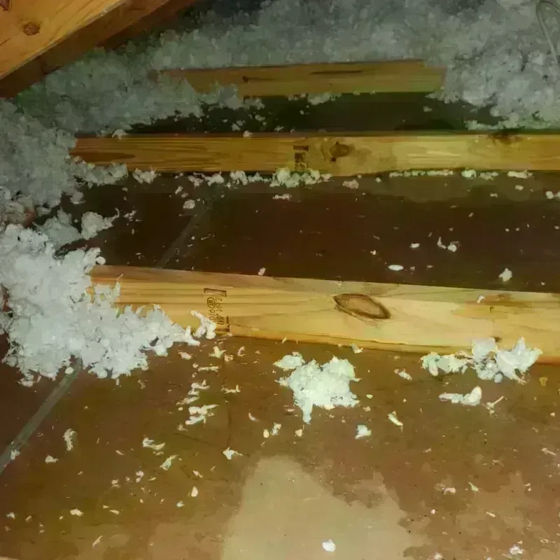 Attic Water Damage in Hart, MI