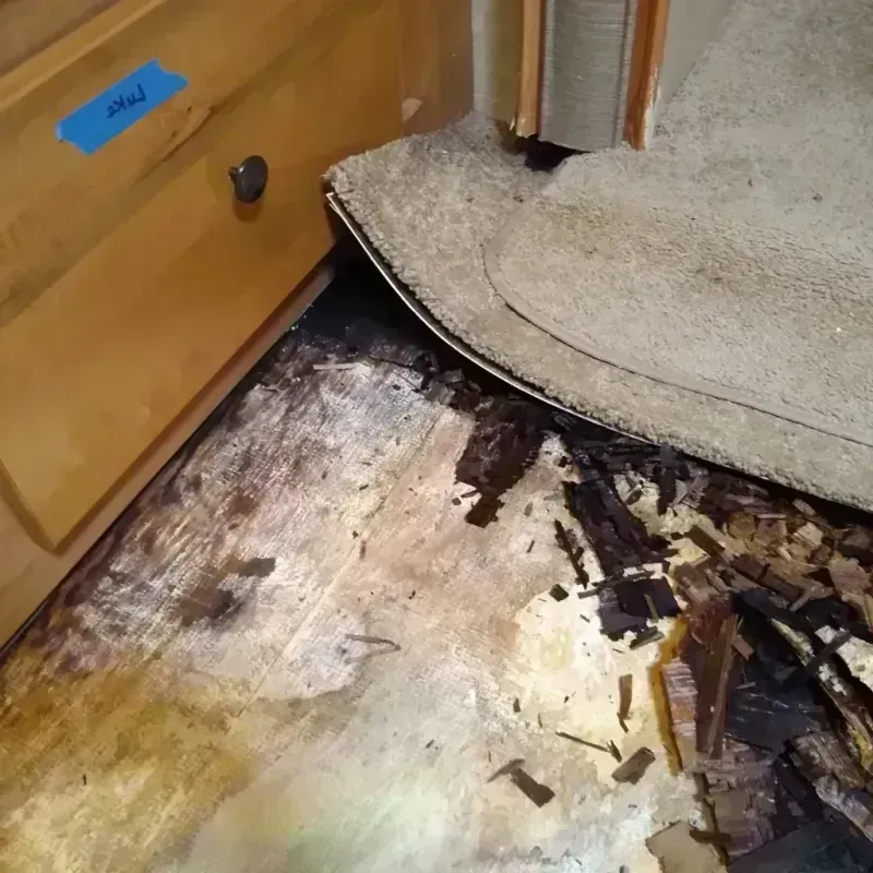 Wood Floor Water Damage in Hart, MI